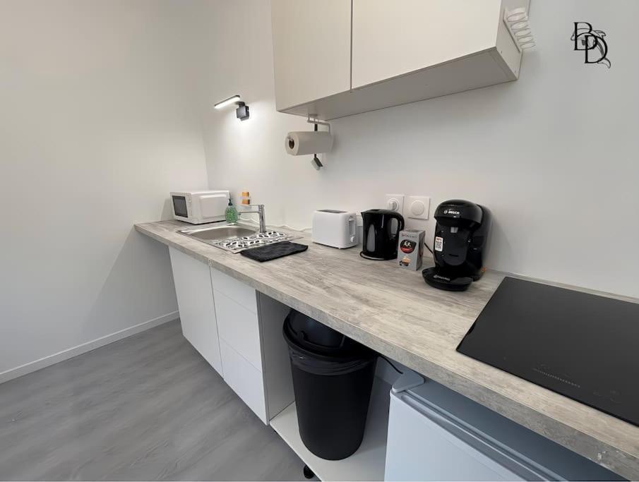 T1 Bis Appartement B3 30M2 Cosy 7Min A Pieds Des Gares ロアンヌ エクステリア 写真