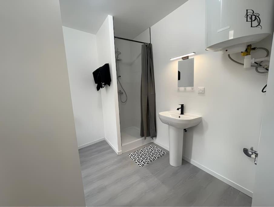 T1 Bis Appartement B3 30M2 Cosy 7Min A Pieds Des Gares ロアンヌ エクステリア 写真