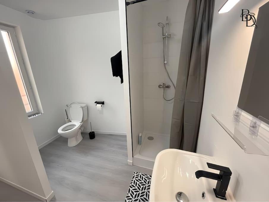 T1 Bis Appartement B3 30M2 Cosy 7Min A Pieds Des Gares ロアンヌ エクステリア 写真
